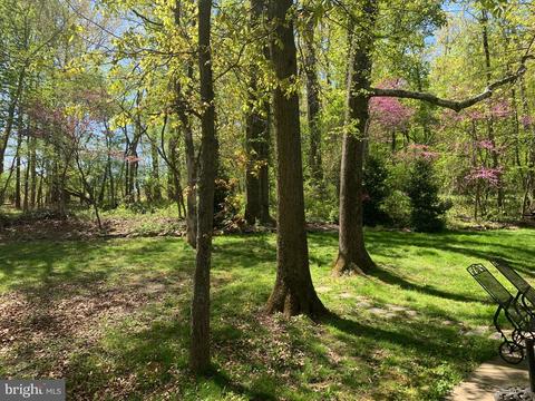 9267 Patrick St, Upperville, VA 20184 photo 10