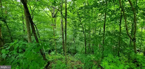 Wilson Rd, Marshall, VA photo 19