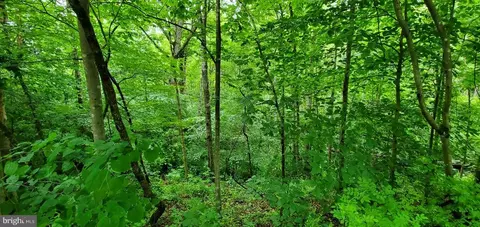 Wilson Rd, Marshall, VA photo 19