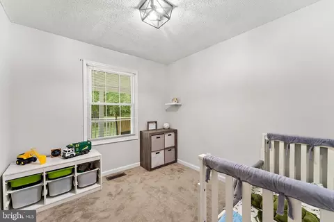 4651 Morgans Bluff Dr, Marshall, VA 20115 photo 19
