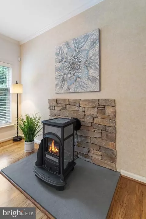 5699 Three Chimneys Dr, Marshall, VA 20115 photo 26