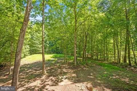 9208 Mountjoy, Marshall, VA 20115 photo 54