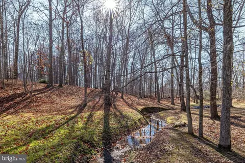 10149 Ramey Rd, Marshall, VA 20115 photo 67
