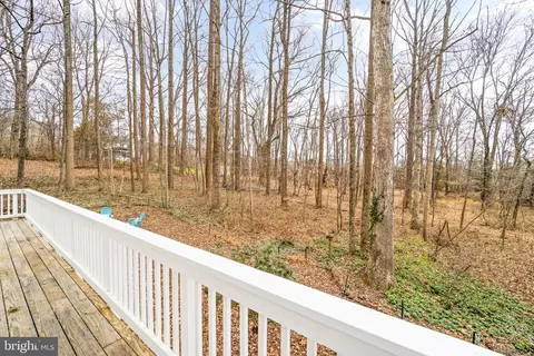 5397 Old Bust Head Rd, Broad Run, VA 20137 photo 54