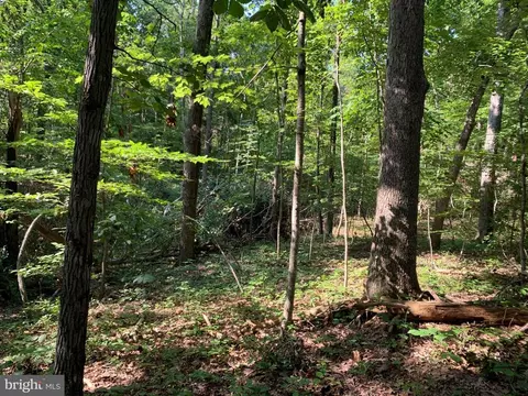 Carters Run, Marshall, VA photo 44