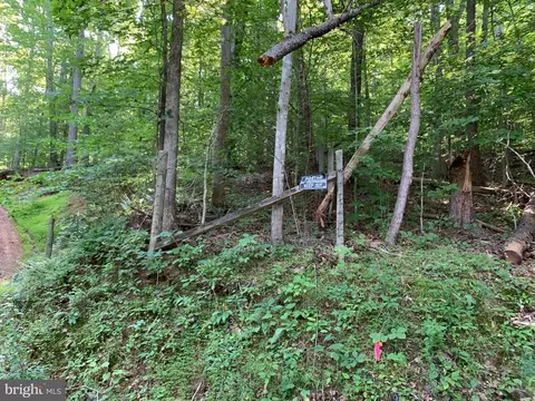 Carters Run, Marshall, VA photo 37
