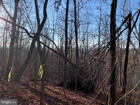 Carters Run, Marshall, VA photo 21