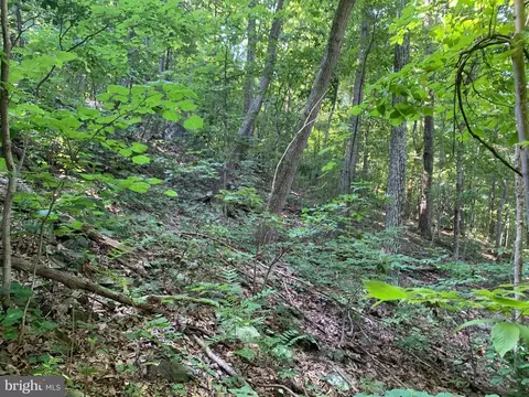 Carters Run, Marshall, VA photo 54