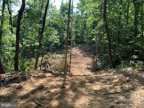 Carters Run, Marshall, VA photo 6