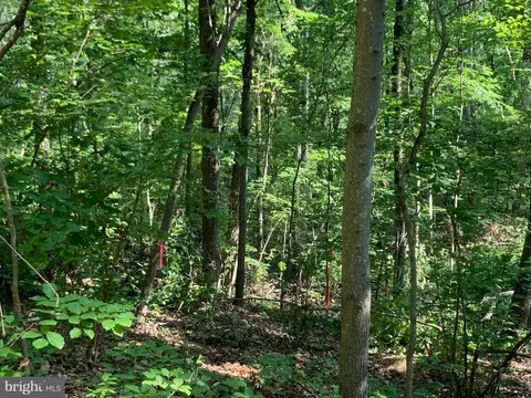Carters Run, Marshall, VA photo 49