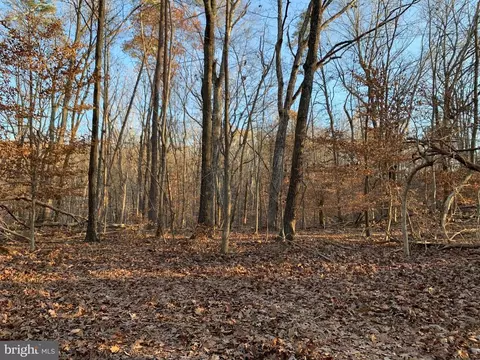 Carters Run, Marshall, VA photo 29