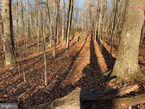 Carters Run, Marshall, VA photo 22