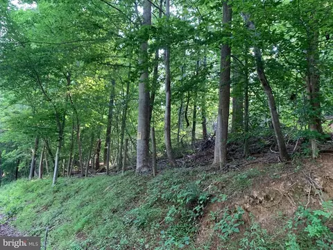 Carters Run, Marshall, VA photo 38