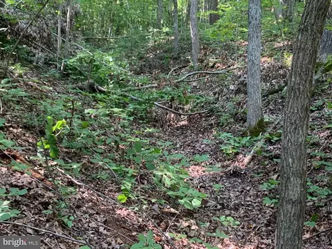 Carters Run, Marshall, VA photo 50