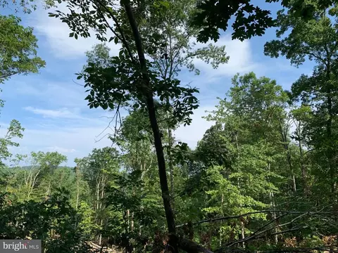 Carters Run Road, Marshall, VA photo 4