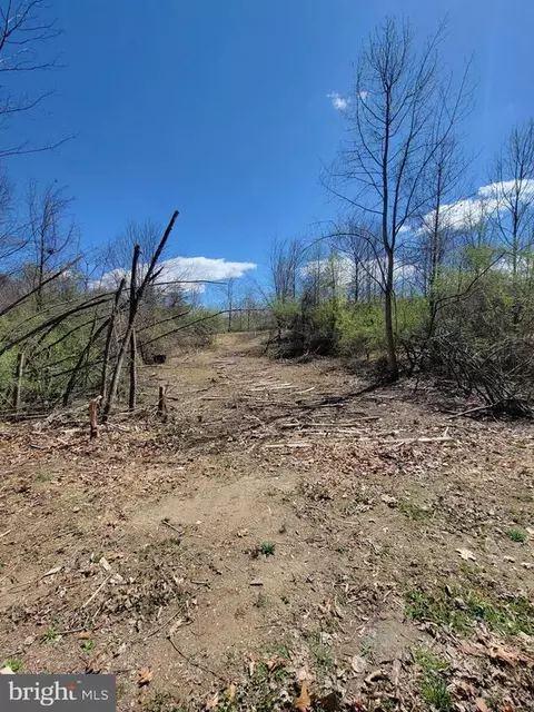 Elihu Hill, Marshall, VA photo 22