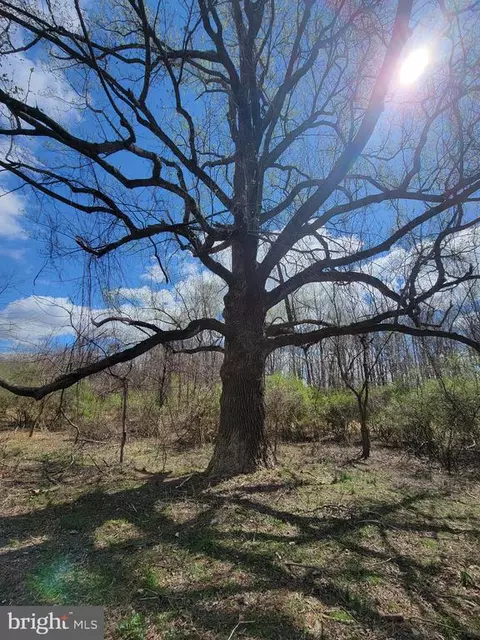 Elihu Hill, Marshall, VA photo 45
