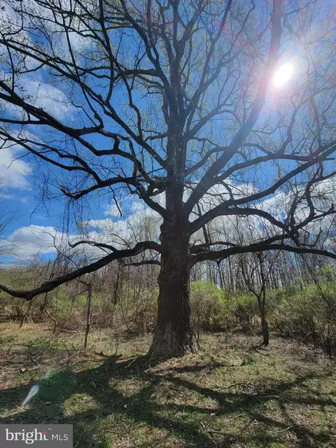Elihu Hill, Marshall, VA photo 46