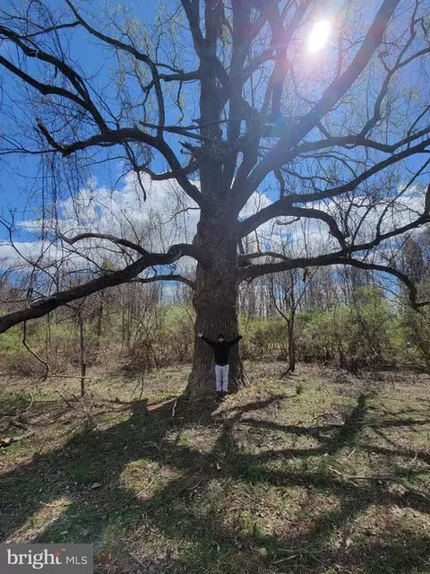 Elihu Hill, Marshall, VA photo 47