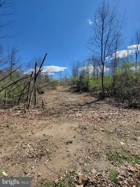 Elihu Hill, Marshall, VA photo 21