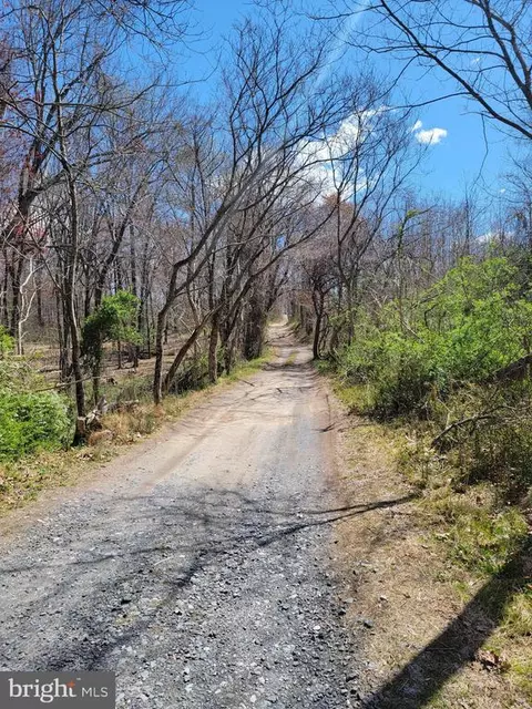 Elihu Hill, Marshall, VA photo 20