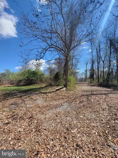 Elihu Hill, Marshall, VA photo 34
