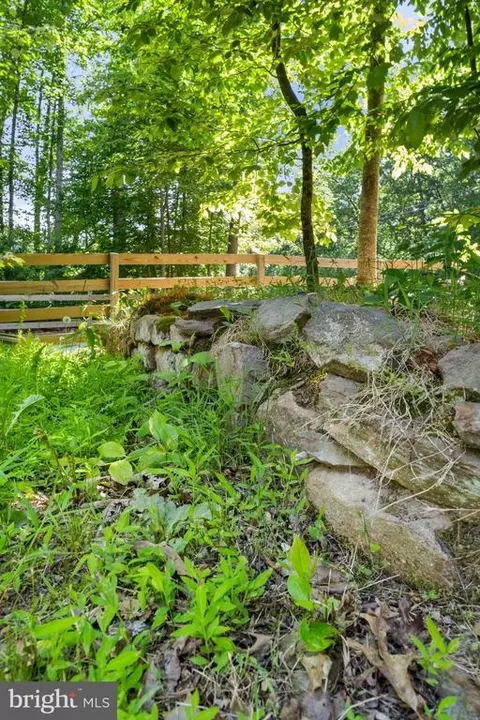 10677 Bears Den Rd, Marshall, VA 20115 photo 6