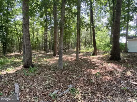 4596 Sumerduck Rd, Sumerduck, VA 22742 photo 55