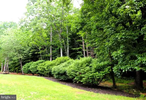 6115 Pilgrims Rest Rd, Broad Run, VA 20137 photo 18