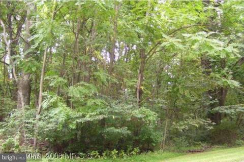 Pignut Mountain Rd, Warrenton, VA