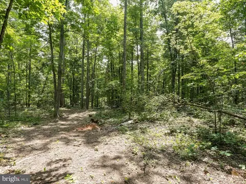 6041 Varzara Rd, Marshall, VA photo 7