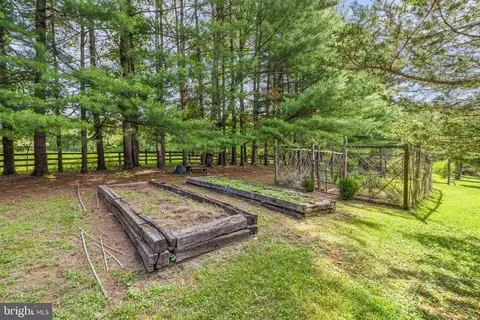 11590 Bear Cub Ct, Marshall, VA 20115 photo 31