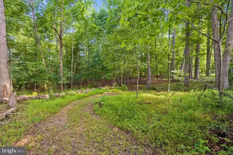 11590 Bear Cub Ct, Marshall, VA 20115 photo 36