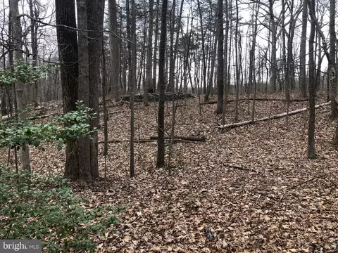 Mountjoy Rd, Marshall, VA photo 9