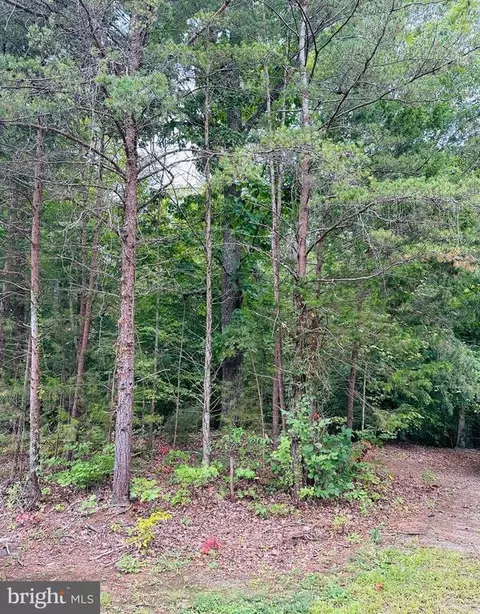 Rogers Ford Road, Sumerduck, VA photo 2