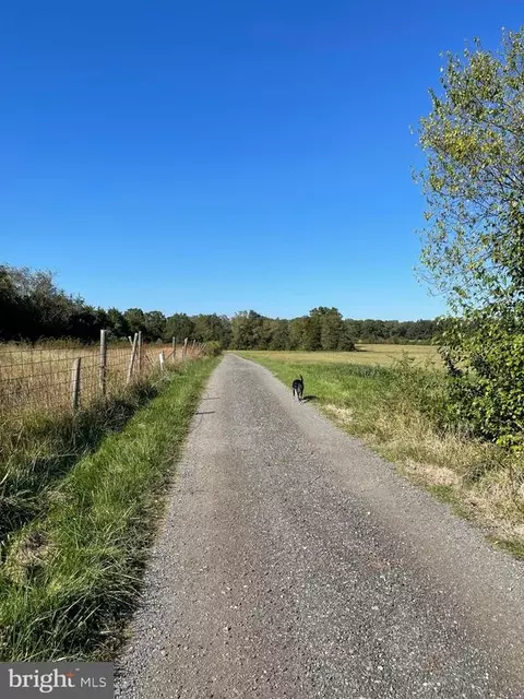 9591 Elk Run Rd, Catlett, VA 20119 photo 46