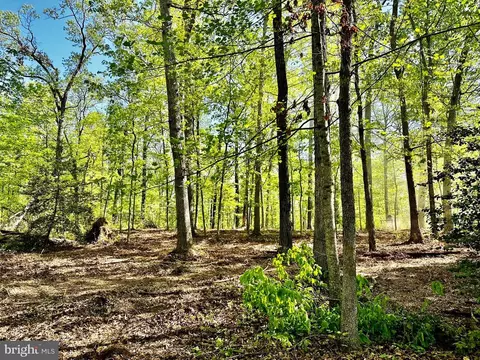 Springs Rd, Warrenton, VA