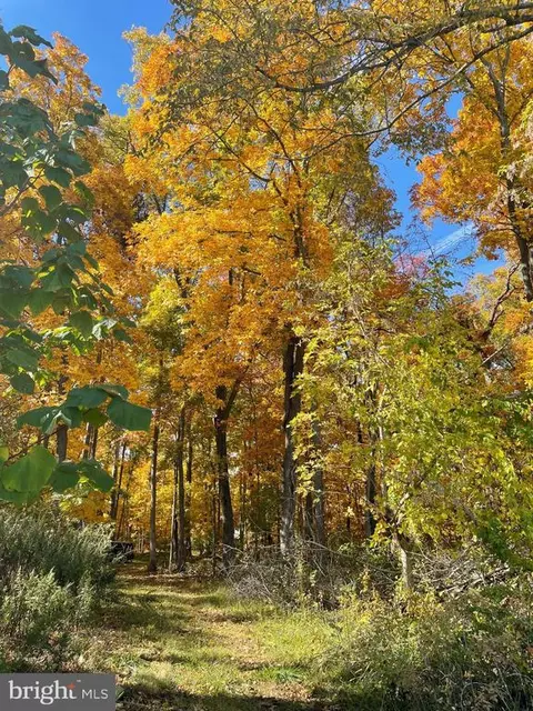 Rokeby, Upperville, VA photo 4