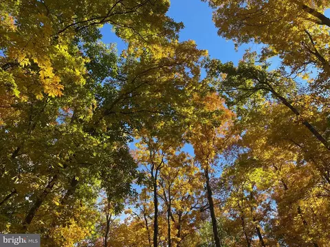 Rokeby, Upperville, VA photo 6