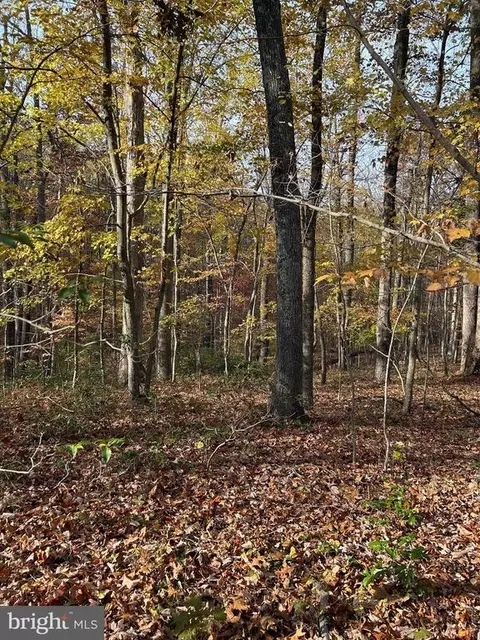Free State Rd, Marshall, VA photo 6