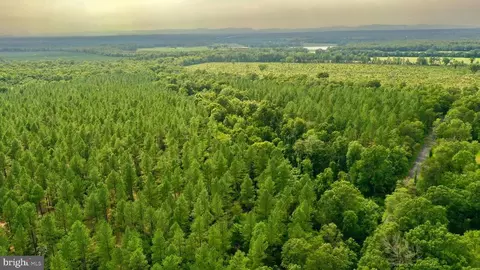 Old Mill Rd, Midland, VA