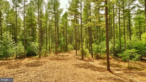 Old Mill Rd, Midland, VA photo 27