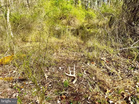 Old Mill Rd, Midland, VA photo 10