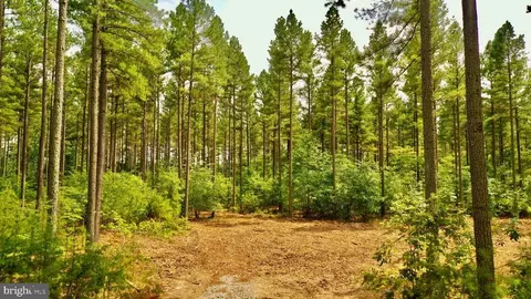 Old Mill Rd, Midland, VA photo 25