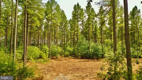 Old Mill Rd, Midland, VA photo 29