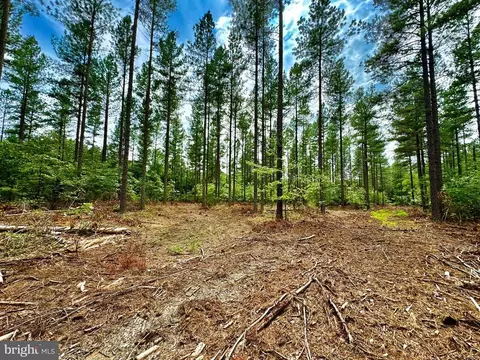 Old Mill Rd, Midland, VA photo 14