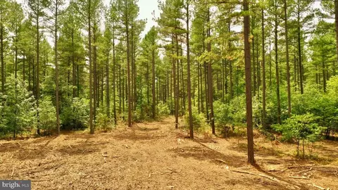 Old Mill Rd, Midland, VA photo 23