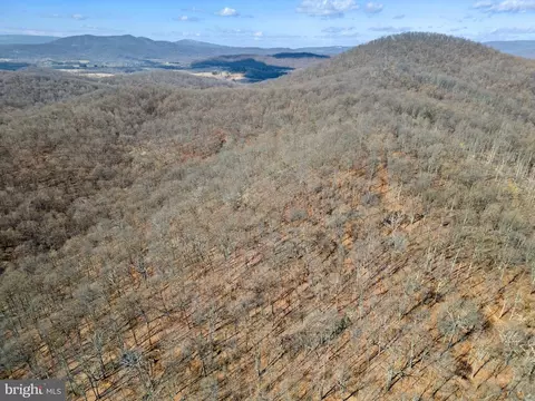 41 Ramey Rd, Marshall, VA photo 8