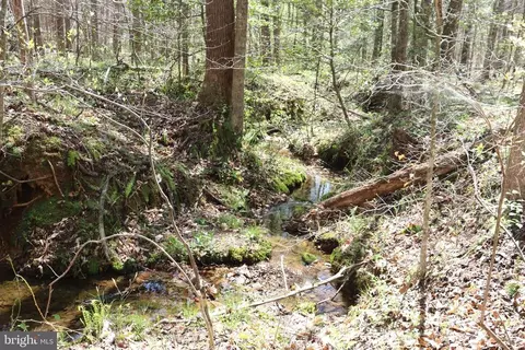 Snake Castle Rd, Sumerduck, VA photo 13