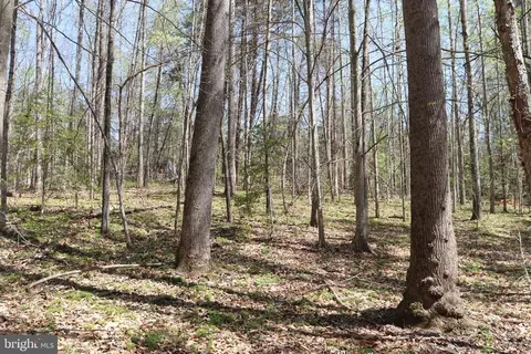 Snake Castle Rd, Sumerduck, VA photo 16
